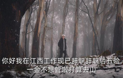 你好我在江西工作現已辭職辭職后五險一金不想管啦打算去山