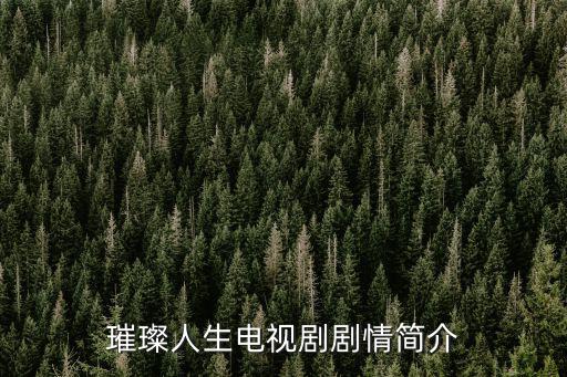 璀璨人生電視劇劇情簡介