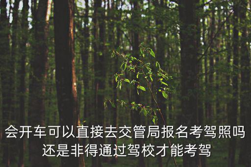 會開車可以直接去交管局報名考駕照嗎 還是非得通過駕校才能考駕