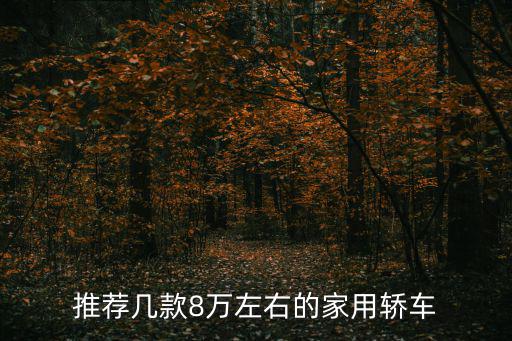 8萬(wàn)的車，8萬(wàn)左右的車子有哪些