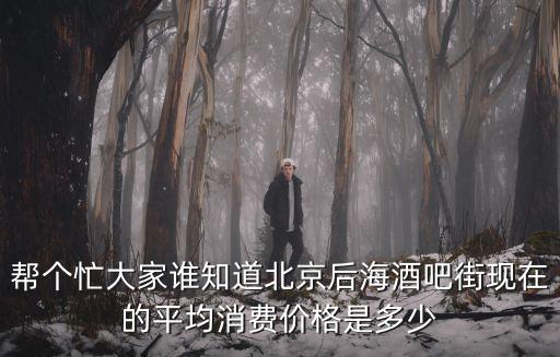 幫個忙大家誰知道北京后海酒吧街現在的平均消費價格是多少