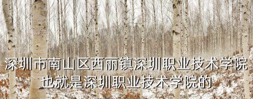 深圳市南山區(qū)西麗鎮(zhèn)深圳職業(yè)技術(shù)學(xué)院也就是深圳職業(yè)技術(shù)學(xué)院的