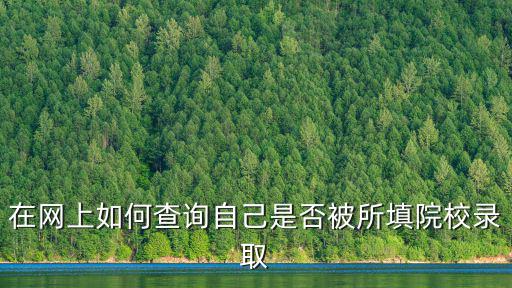 在網上如何查詢自己是否被所填院校錄取