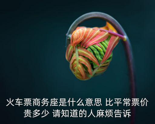 火車票商務座是什么意思 比平常票價貴多少 請知道的人麻煩告訴
