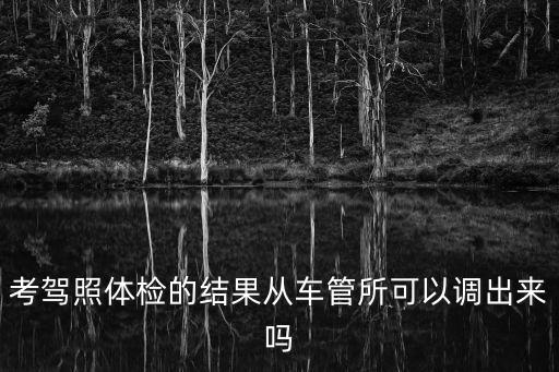 駕照體檢，考駕照體檢的結(jié)果從車管所可以調(diào)出來(lái)嗎