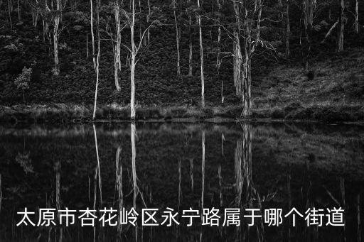 太原市杏花嶺區永寧路屬于哪個街道