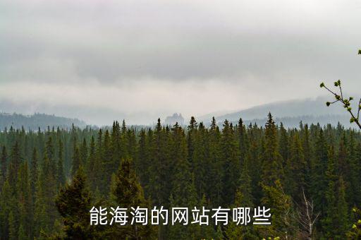 海淘網(wǎng)站大全，能海淘的網(wǎng)站有哪些