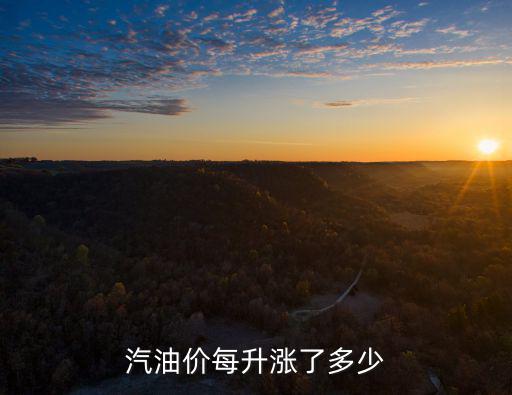 汽油價每升漲了多少