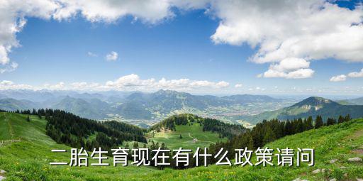 二胎生育現在有什么政策請問