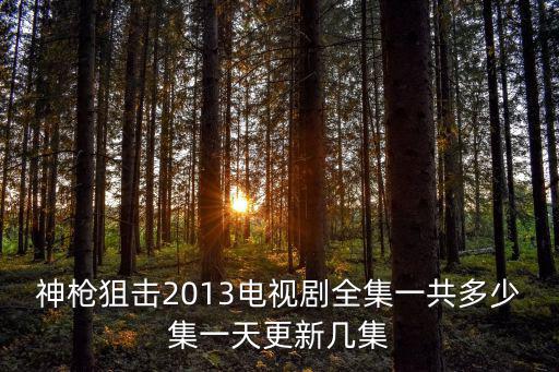 神槍狙擊2013電視劇全集一共多少集一天更新幾集