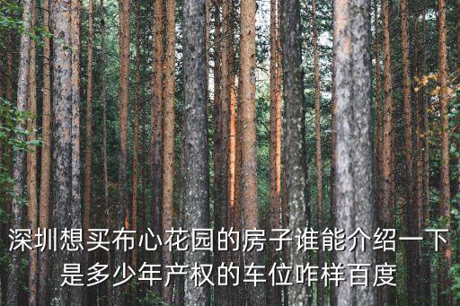 深圳想買布心花園的房子誰能介紹一下是多少年產權的車位咋樣百度