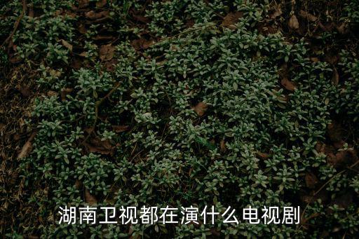 湖南衛(wèi)視電視劇，湖南衛(wèi)視好看的電視劇有什么