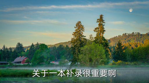 一本補(bǔ)錄，一本補(bǔ)錄是什么