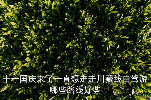 十一國慶來了一直想走走川藏線自駕游哪些路線好些