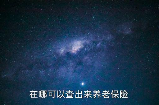 在哪可以查出來養老保險
