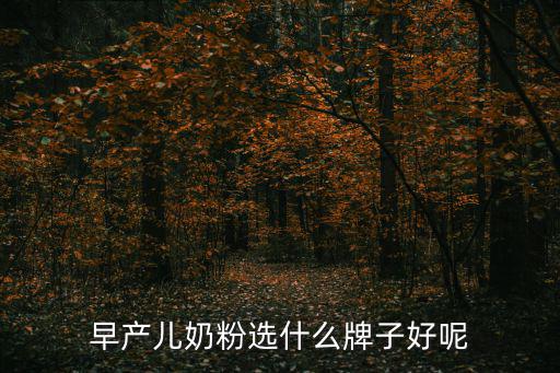 早產(chǎn)兒奶粉選什么牌子好呢