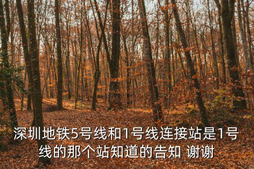 深圳地鐵5號線和1號線連接站是1號線的那個站知道的告知 謝謝