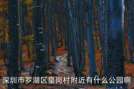 深圳市羅湖區皇崗村附近有什么公園啊