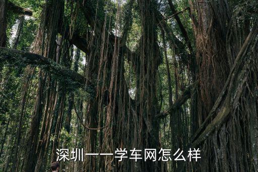 深圳一一學車網怎么樣