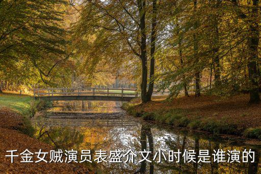 千金女賊演員表，千金女賊演員表盛介文小時候是誰演的