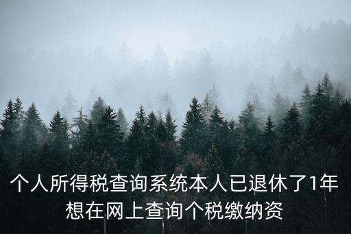 個稅查詢系統，個人所得稅查詢系統本人已退休了1年想在網上查詢個稅繳納資