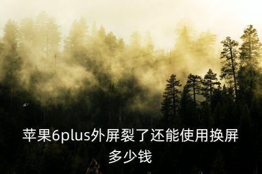 蘋果換外屏多少錢，Iphone外屏幕修一下大約多少錢感覺500有的貴