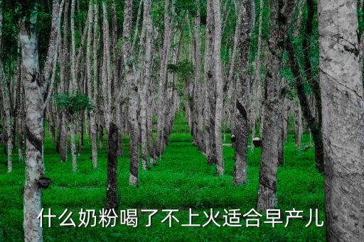 什么奶粉喝了不上火適合早產(chǎn)兒