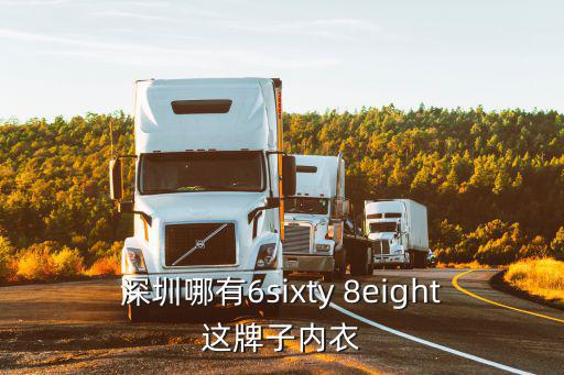 深圳內衣品牌，08年初進入深圳南山區太陽百貨的一家美國少女內衣的品牌叫什么名字
