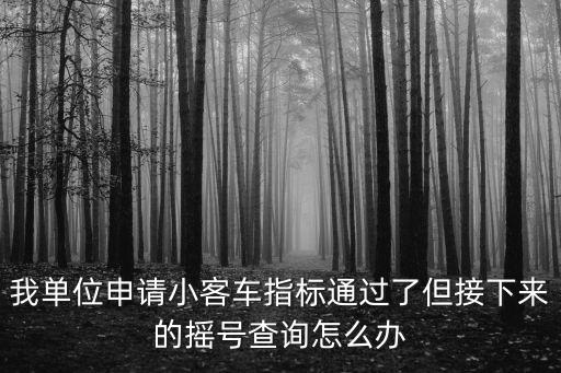 我單位申請小客車指標通過了但接下來的搖號查詢怎么辦