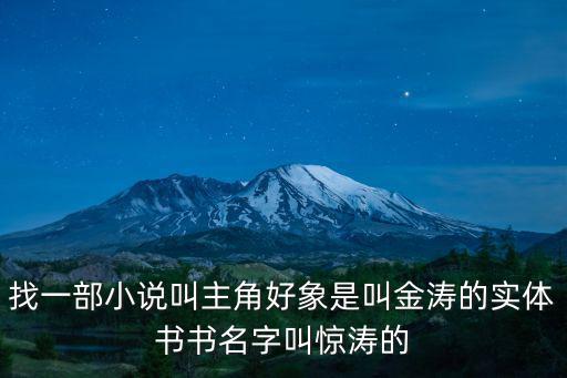找一部小說叫主角好象是叫金濤的實體書書名字叫驚濤的