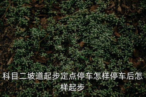 科目二坡道起步定點停車怎樣停車后怎樣起步