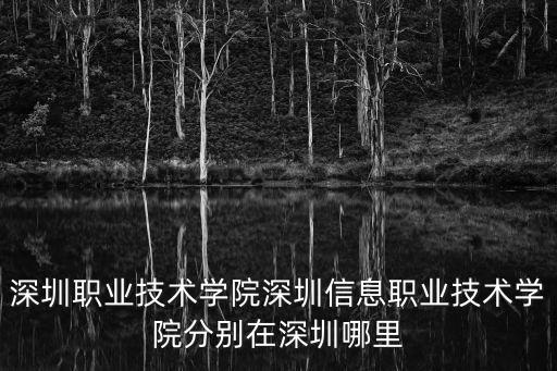 深圳職業(yè)技術(shù)學(xué)院深圳信息職業(yè)技術(shù)學(xué)院分別在深圳哪里