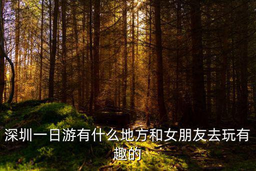 深圳一日游有什么地方和女朋友去玩有趣的