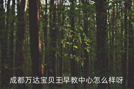 成都萬達寶貝王早教中心怎么樣呀