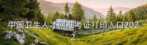 中國人才衛生網，中國人才衛生網準考證入口