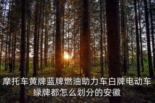 摩托車黃牌藍牌燃油助力車白牌電動車綠牌都怎么劃分的安徽