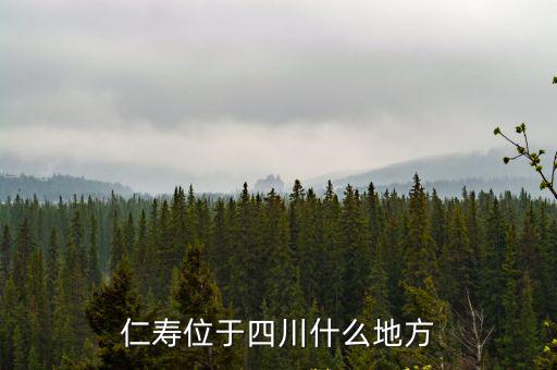 仁壽位于四川什么地方