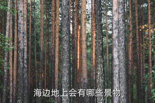 海邊地上會有哪些景物