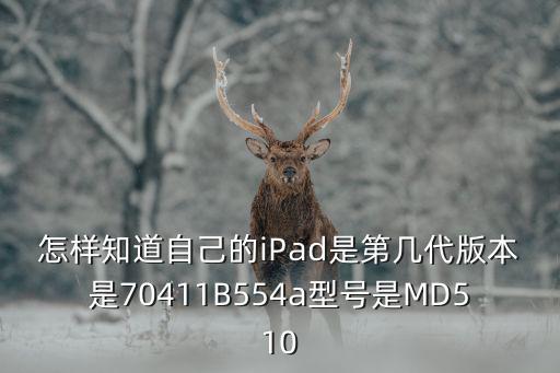 怎樣知道自己的iPad是第幾代版本是70411B554a型號(hào)是MD510