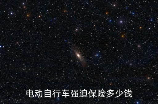 電動自行車強迫保險多少錢