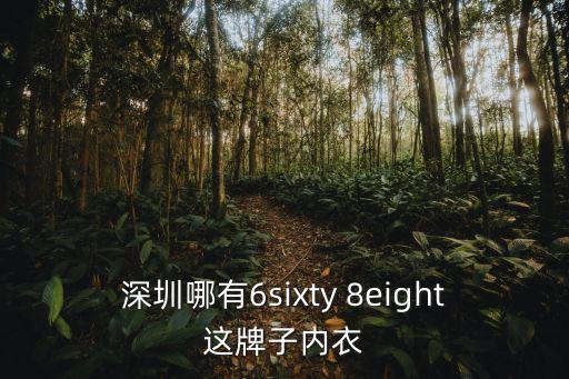 深圳哪有6sixty 8eight這牌子內(nèi)衣