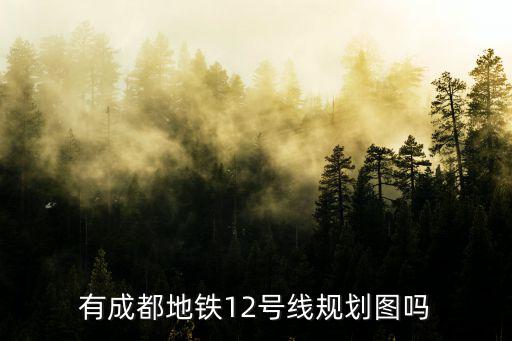 有成都地鐵12號線規劃圖嗎