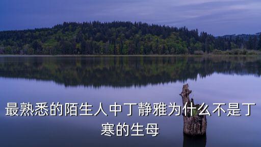 陳冰媽媽，鄭俊樹有沒有陳冰家有錢