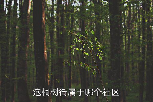 泡桐樹街，成都 那個 泡桐樹街 早上 那些小店 開不開門 覺得這條街好文藝的樣
