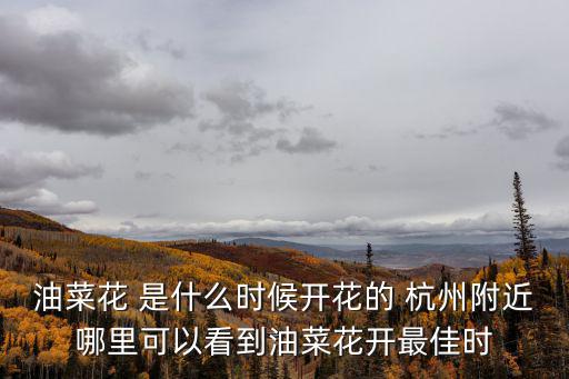 油菜花幾月開，山西省晉城市油菜花什么時候開