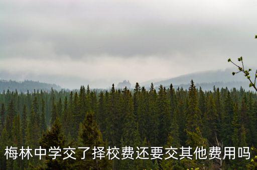 梅林中學交了擇校費還要交其他費用嗎