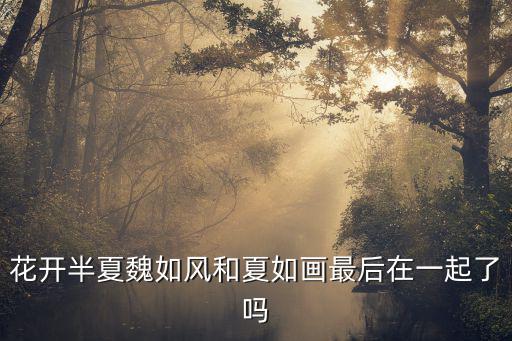 魏如風，魏如風是哪部連續劇里的人物