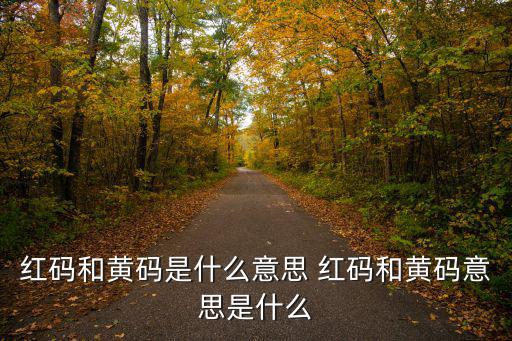 紅碼和黃碼是什么意思 紅碼和黃碼意思是什么