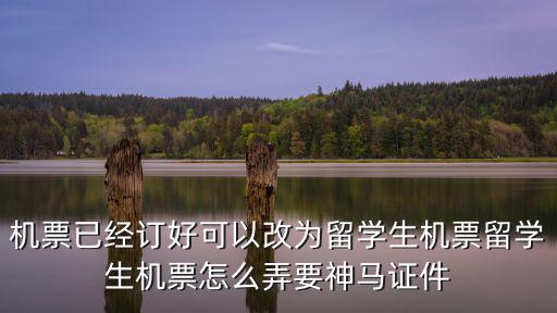 機票已經訂好可以改為留學生機票留學生機票怎么弄要神馬證件