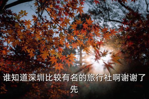 深圳旅行社排名，深圳市最有名的旅行社是哪家